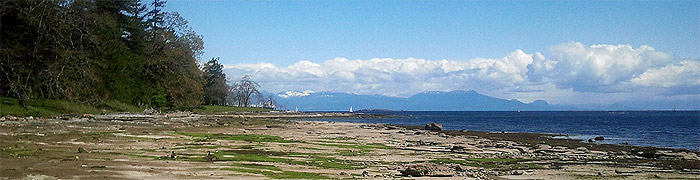 Environmental Management System