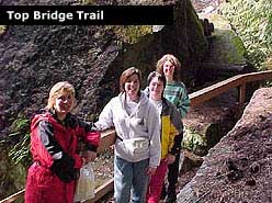 Top Bridge Trail