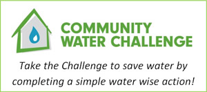 Community Water Challenge