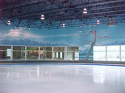 The Pond