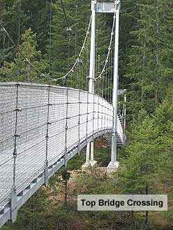 Top Bridge