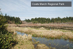 Coats Marsh Regional Park and Conservation Area
