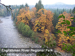 Englishman River Regional Park