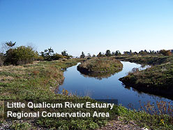 Little Qualicum River Estuary Regional Conservation Area