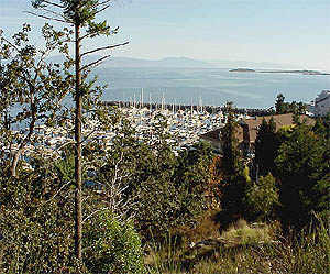 Fairwinds
