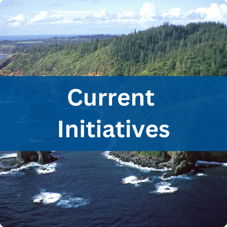 Current Initiatives
