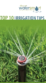 Top 10 Irrigation Tips