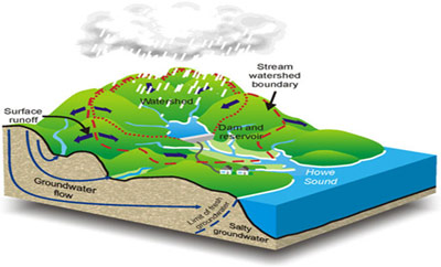 Watersheds and Aquifers 101