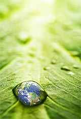 Every Drop Counts