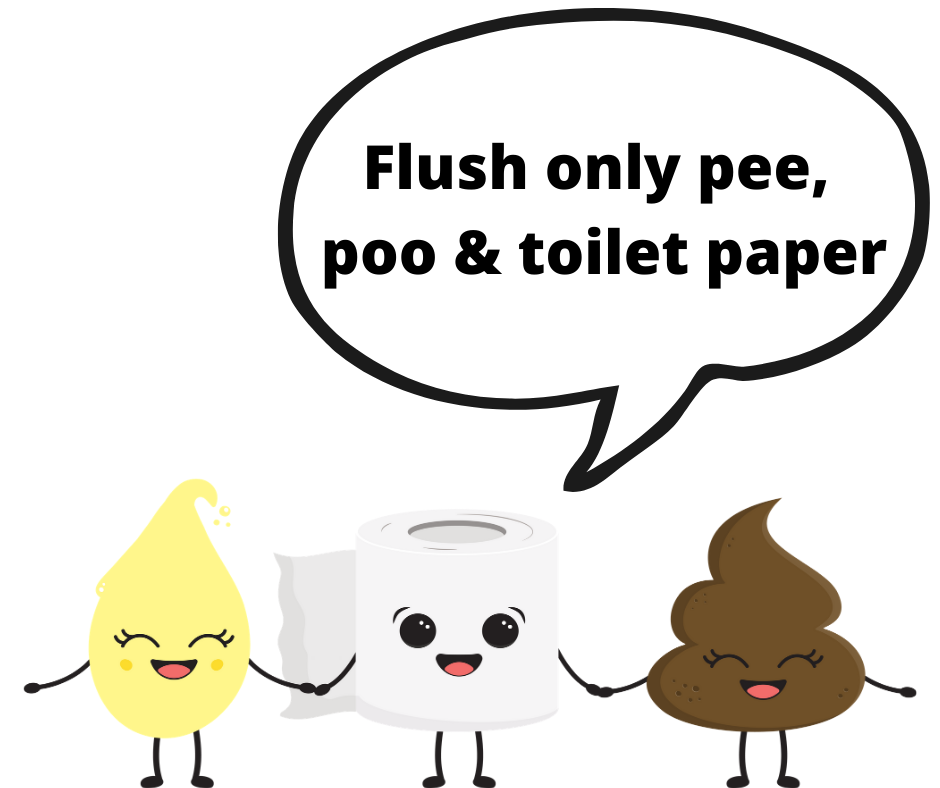 Pee, Poo & Toilet Paper