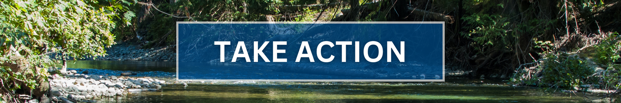 Take Action Banner